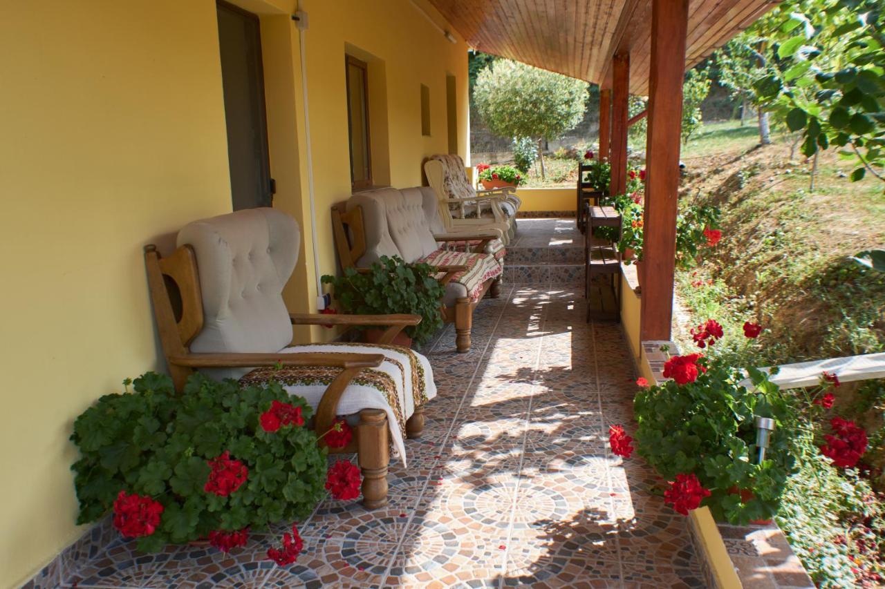 Casa Ciobanca * Vadu Crisului