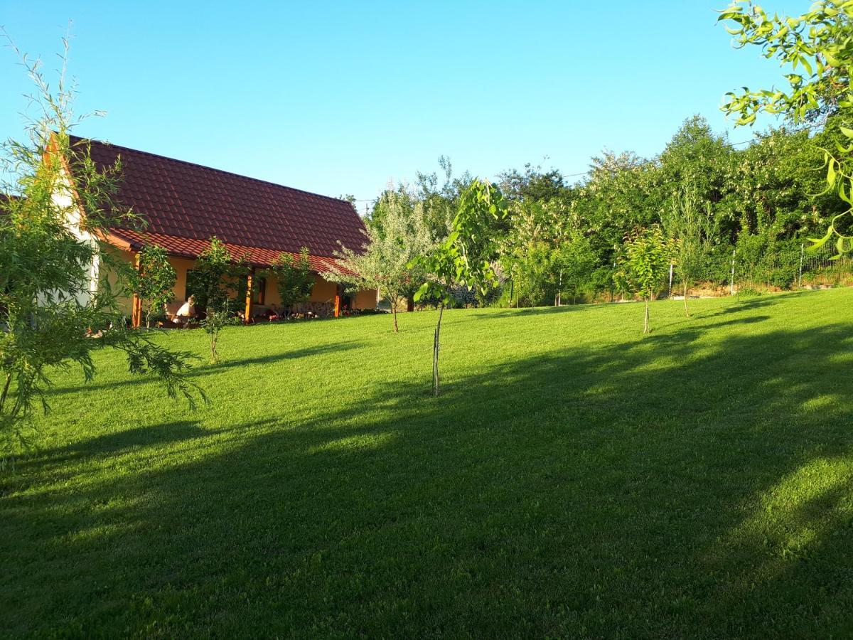 Casa Ciobanca *