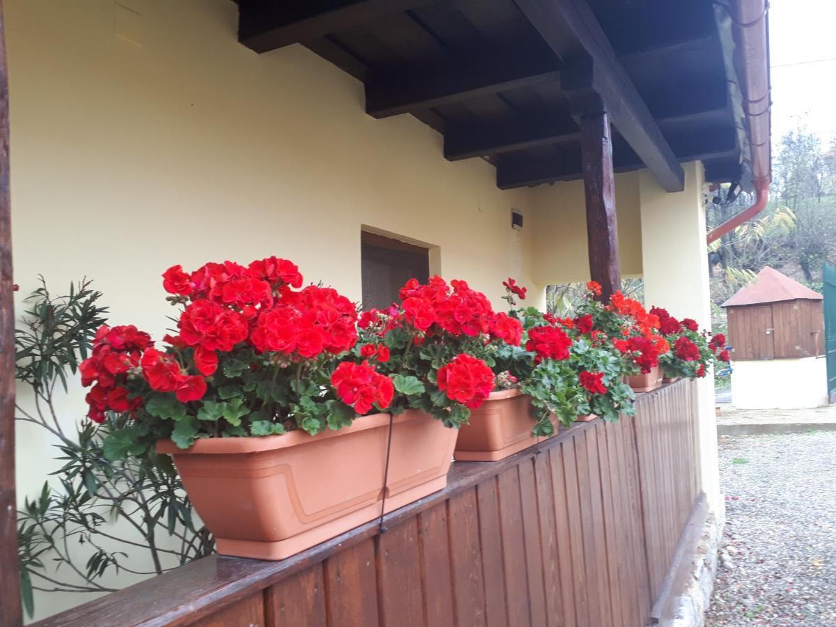 Casa Ciobanca *