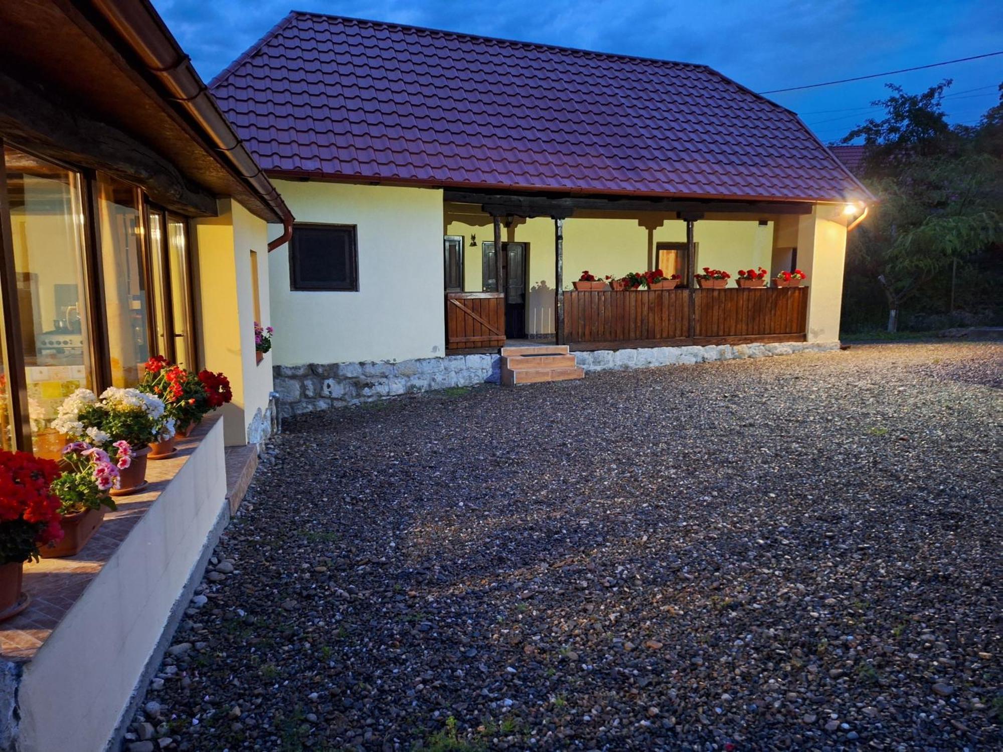 Casa Ciobanca Country house Vadu Crisului